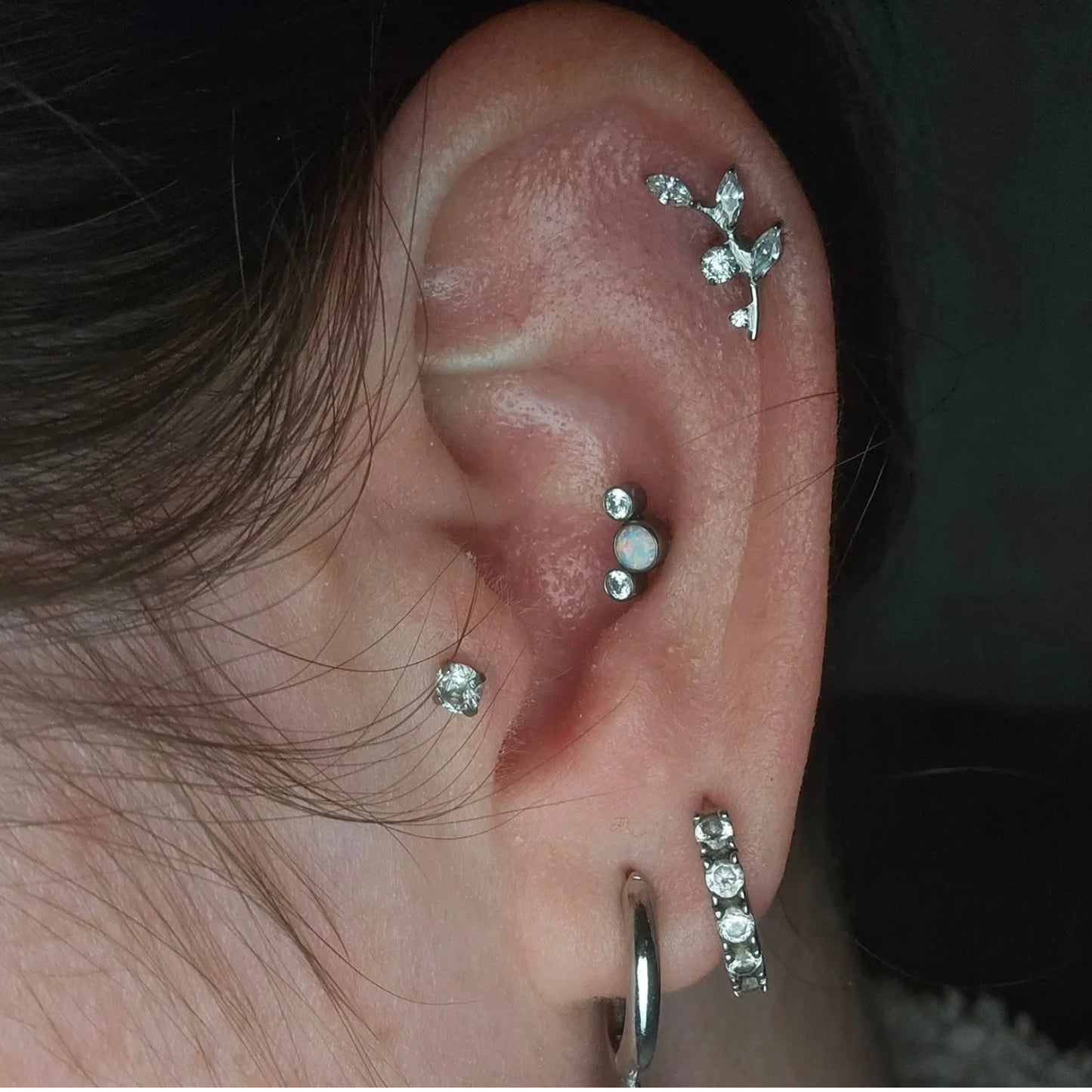 Titanium Tana Sparkling Climbing Leaf Flat Back Stud