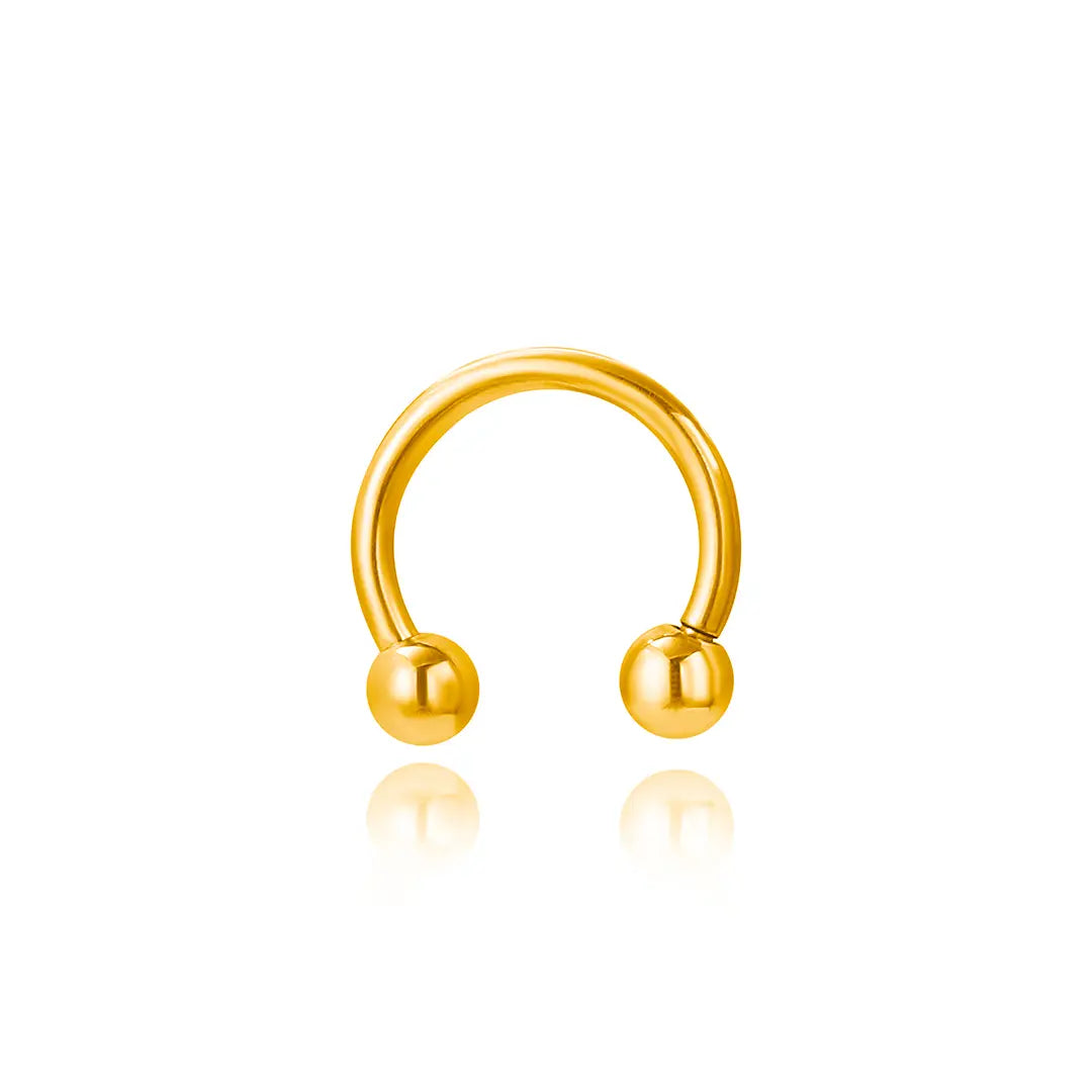 Titanium Basic Circular Horseshoe Barbellse