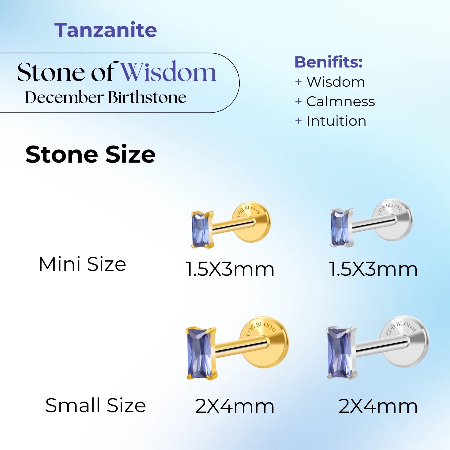 Titanium Irida Small Rectangular Baguette Flat Back Stud - Tanzanite