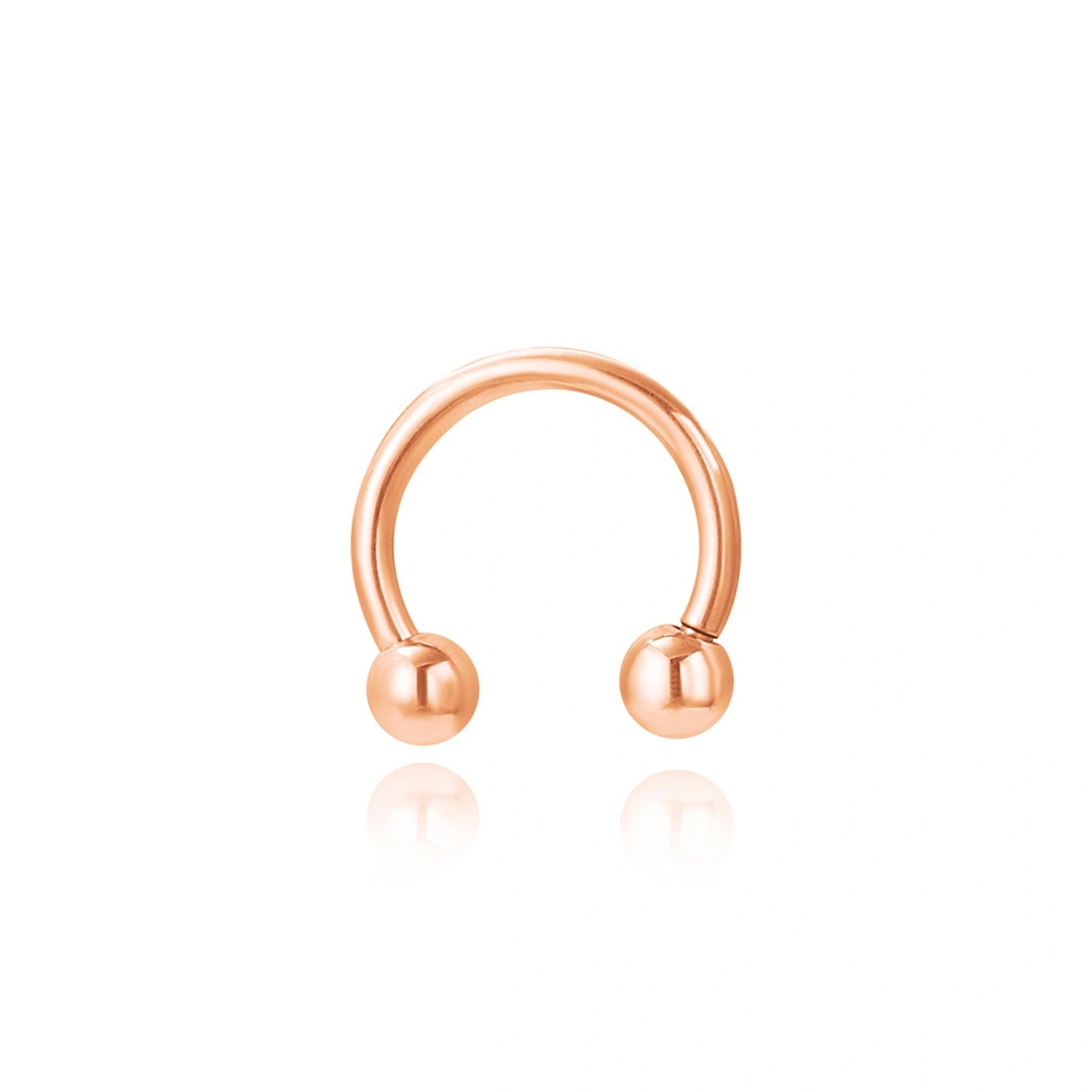 Titanium Basic Circular Horseshoe Barbellse