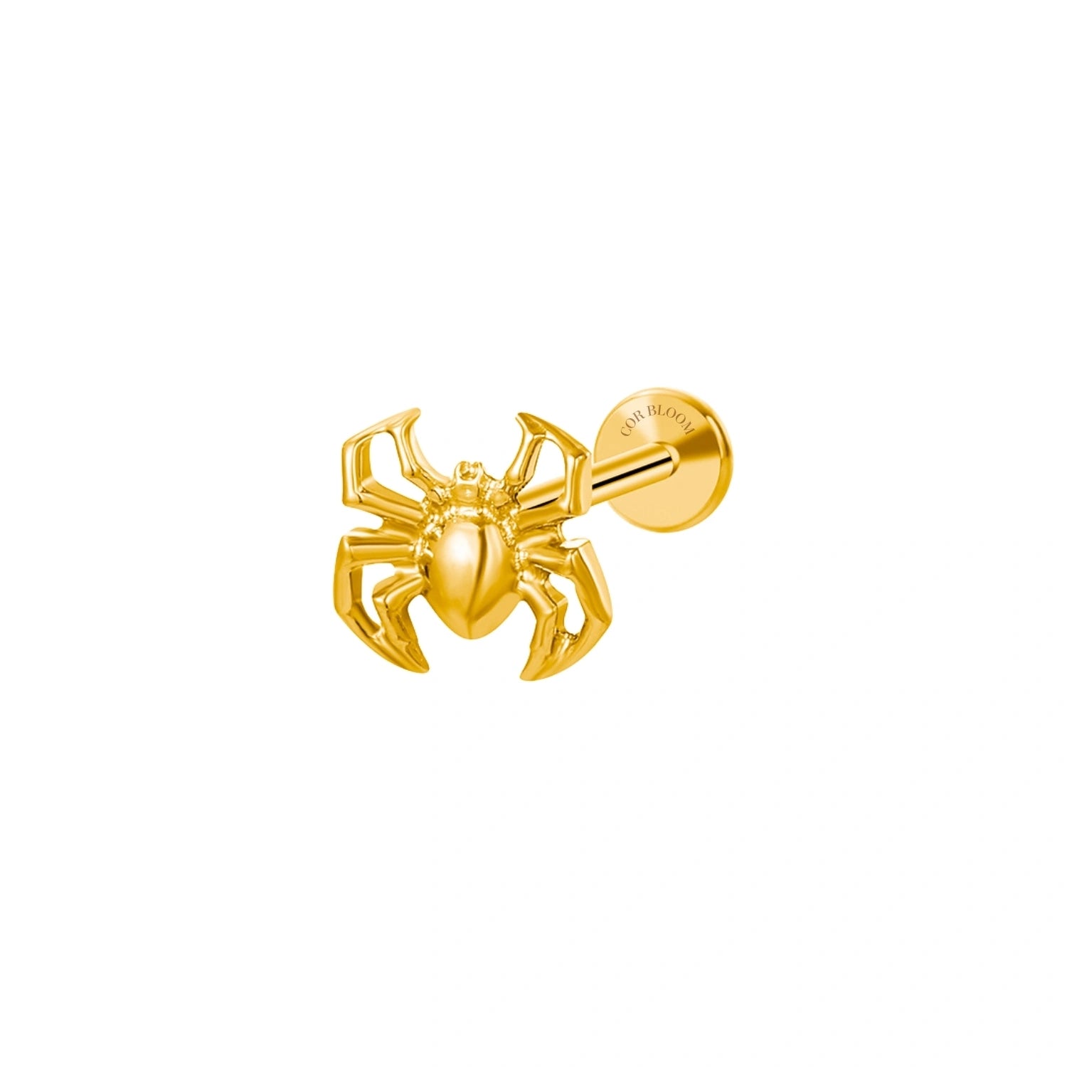 Titanium Statement Spider Piercing Earring