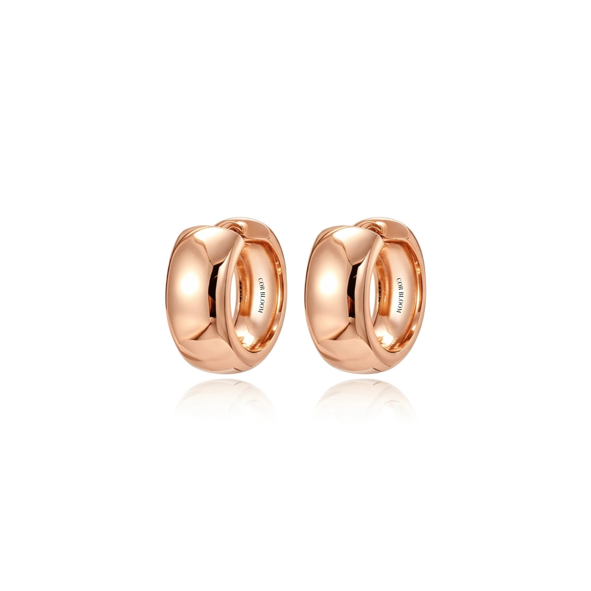 Abigail Chunky Hoops