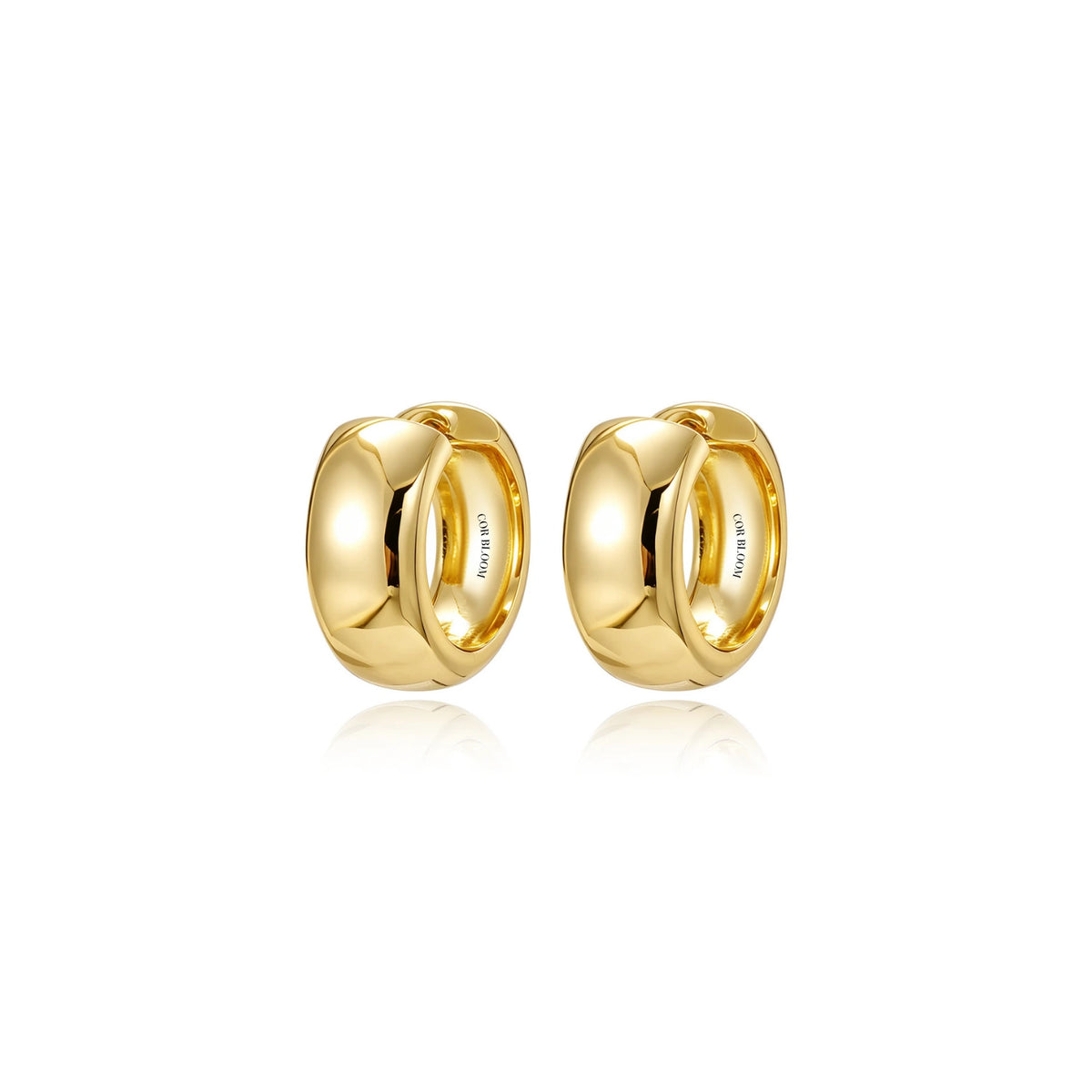Abigail Chunky Hoops