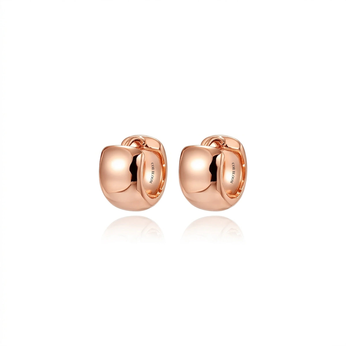 Abigail Chunky Hoops