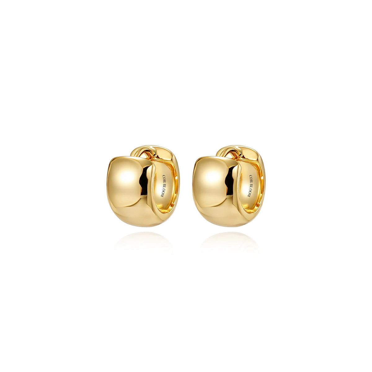 Abigail Chunky Hoops