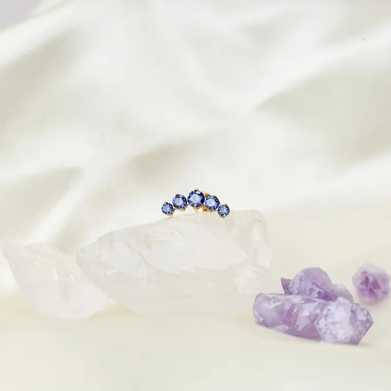 Titanium Daphne Five Tanzanite Gemstone Cluster Flat Back Stud