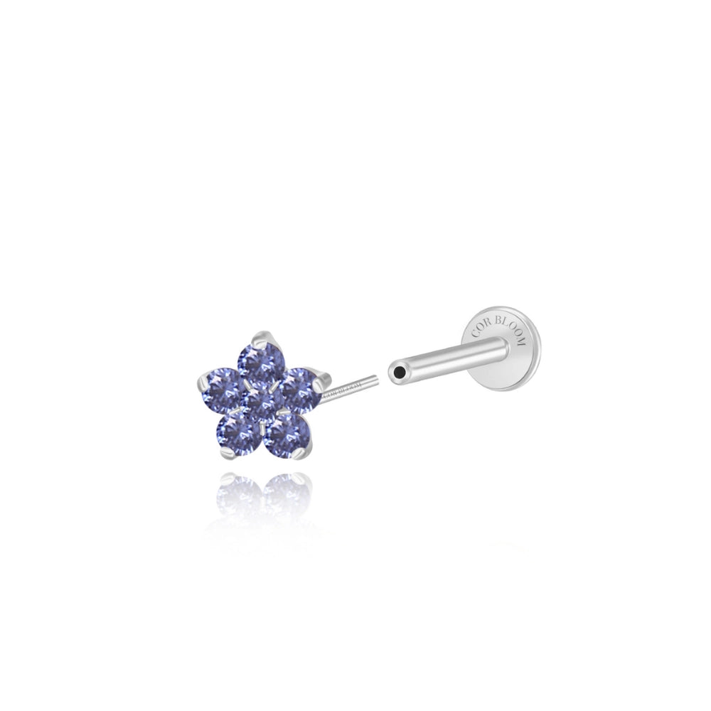Titanium Nova Flower Stud - Tanzanite
