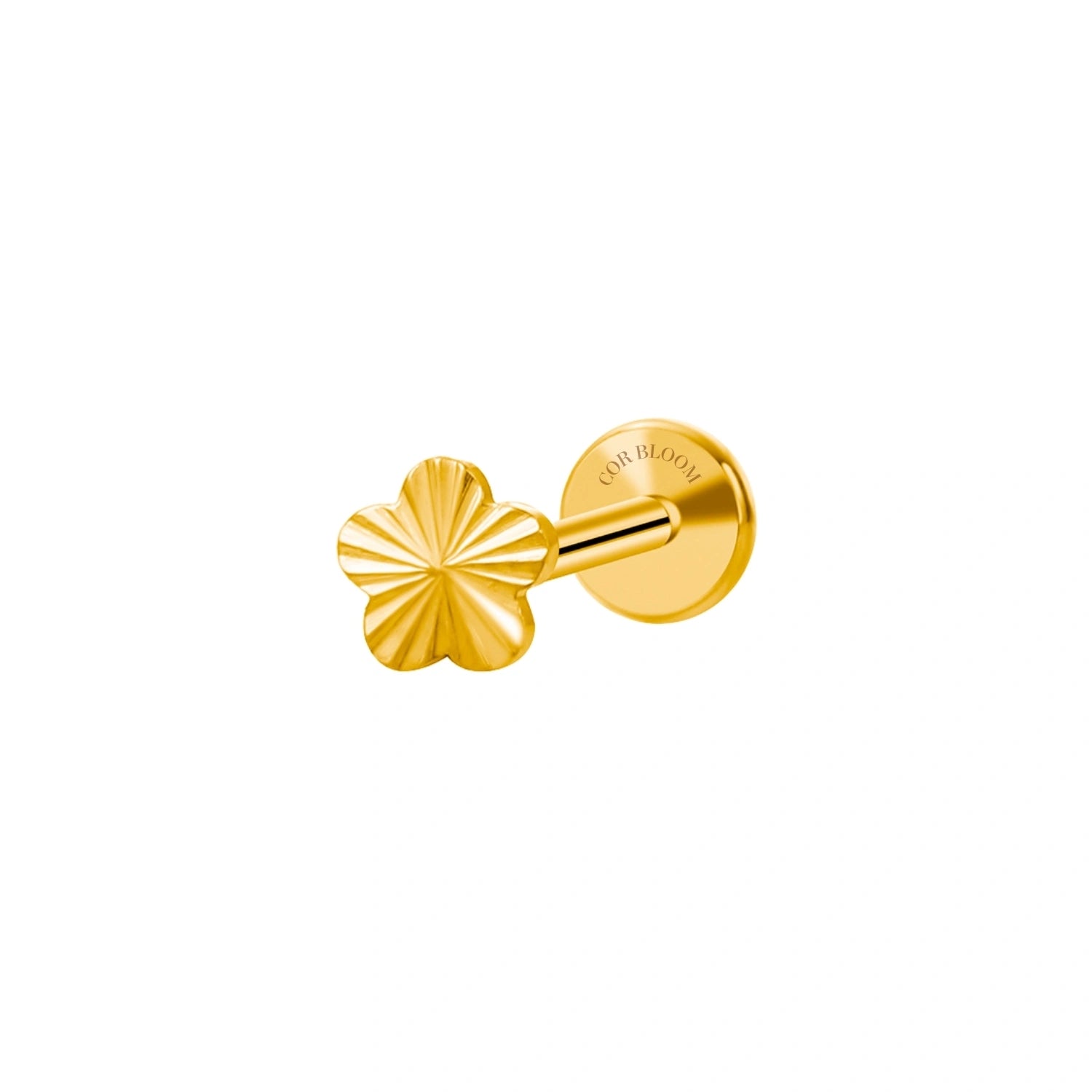 Titanium Little Radiant Flower Flat Back Stud