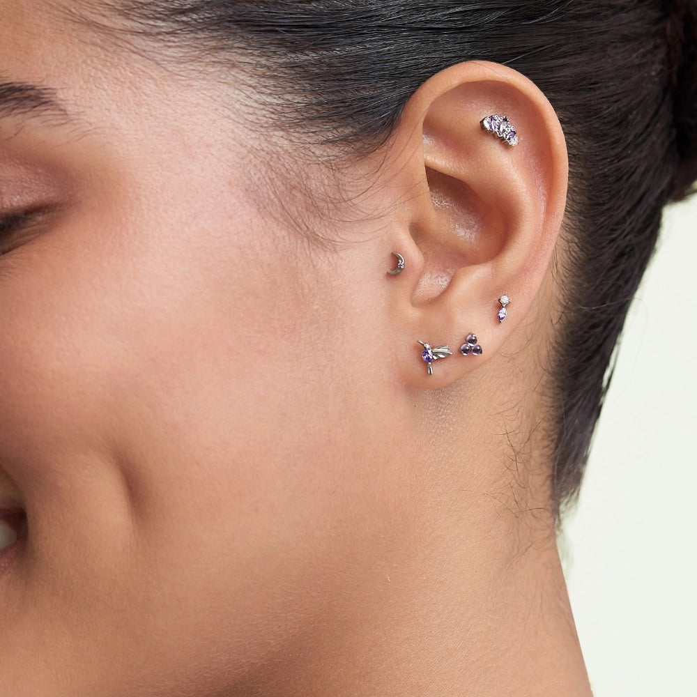 Titanium Atlas Amethyst Crown Stud