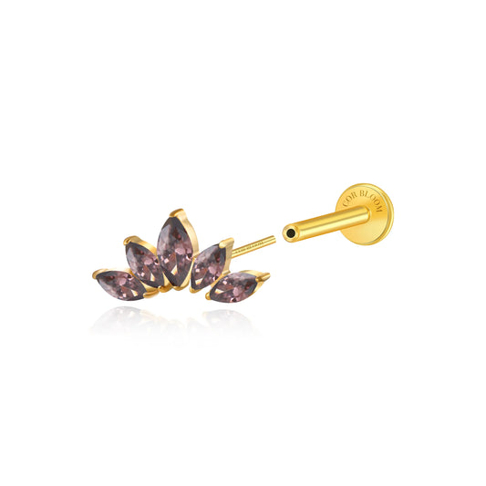 Titanium Aphrodite Coffe Brown Crown Push Pin Stud