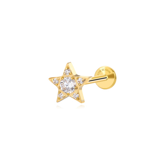 Titanium Astra Dainty Diamond Star Flat Back Stud