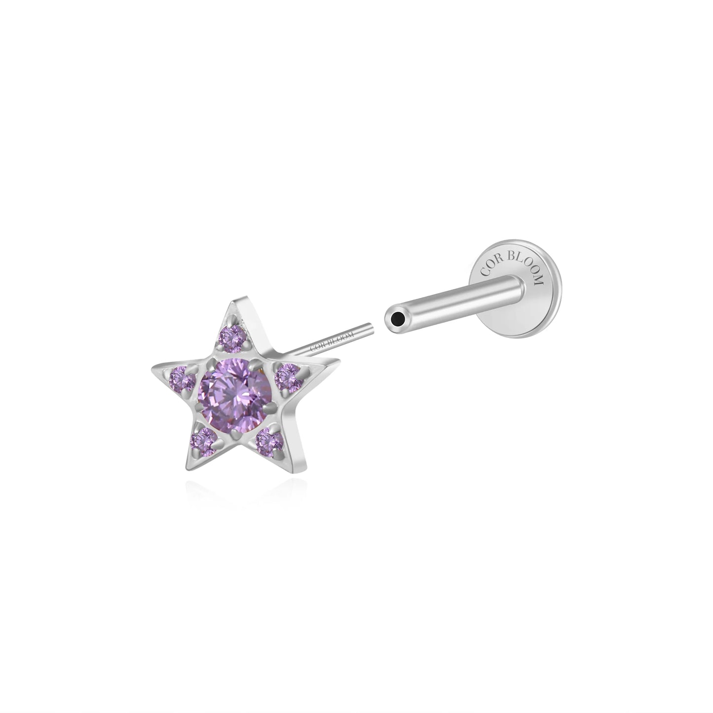 Titanium Astra Dainty Amethyst Star Flat Back Stud