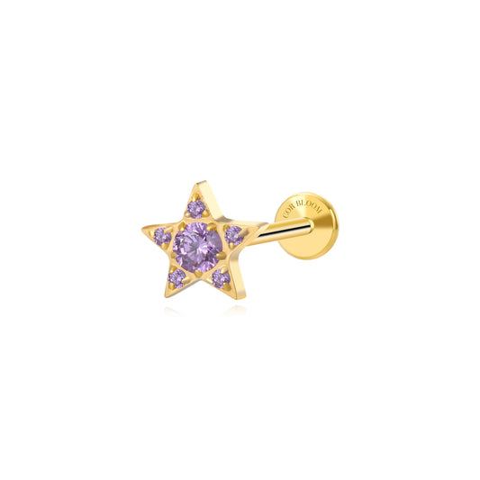 Titanium Astra Dainty Amethyst Star Flat Back Stud