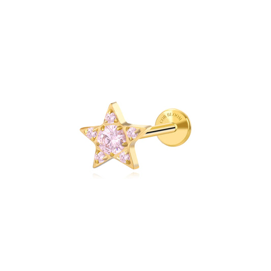 Titanium Astra Dainty Pinky Star Flat Back Stud