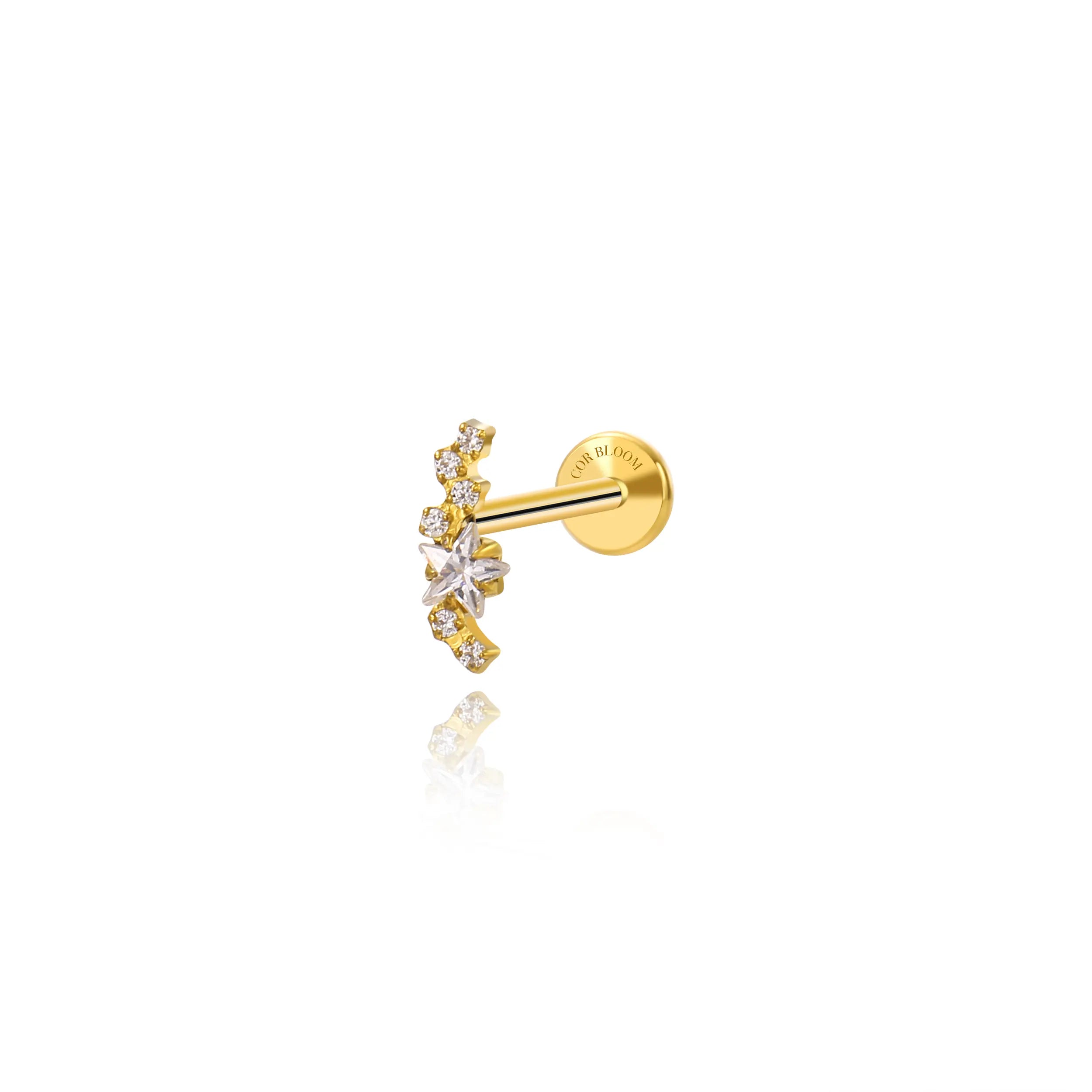 Titanium Mini Star Cluster Climbing Flat Back Earring