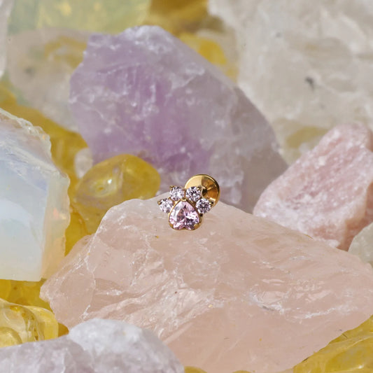 Titanium Astraea Pinky Paw Flat Back Stud