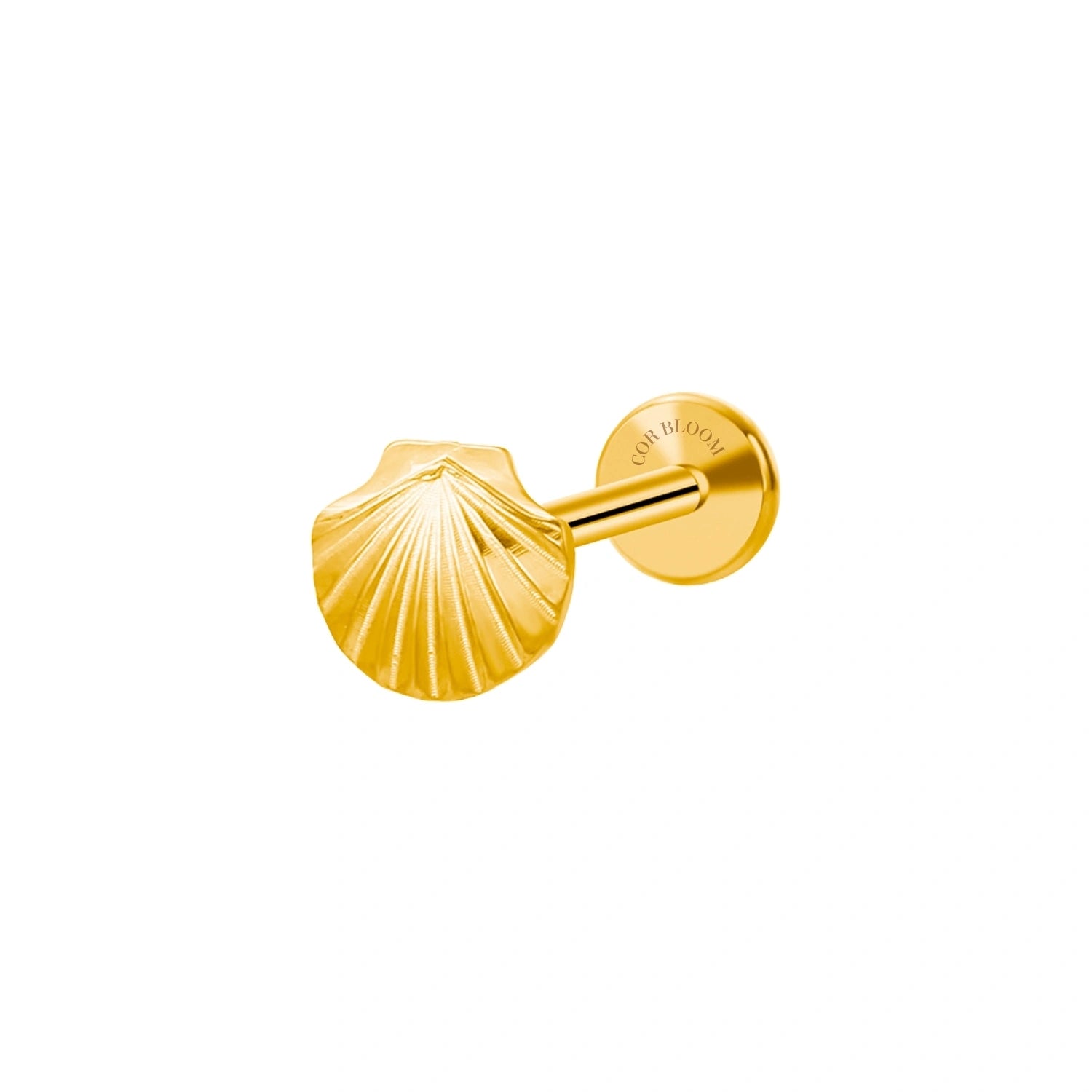 Titanium Seashell Flat Back Piercing Stud