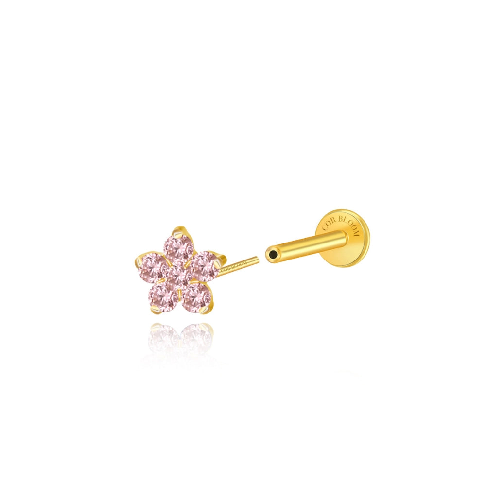 Titanium Nova Flower Stud - Rhodolite