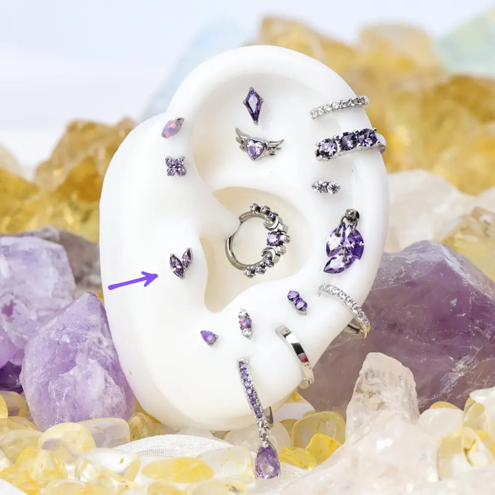 Titanium Akosua Mini Duo Petal Amethyst Stud