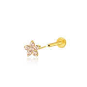 Titanium Nova Flower Stud - Champagne