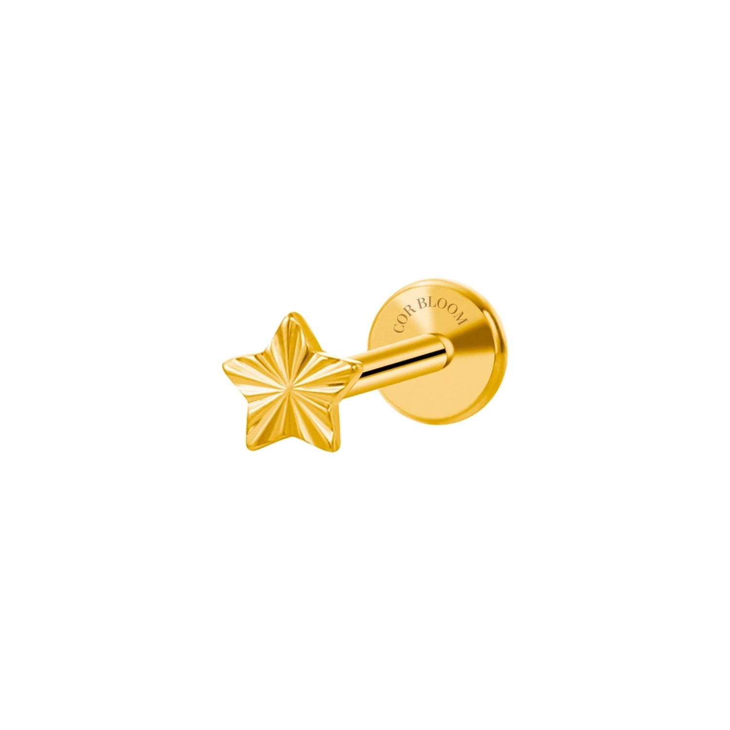 Titanium Small Star Piercing Stud Earring