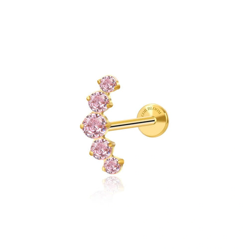 Titanium Five Pink Stone Cluster Flat Back Stud