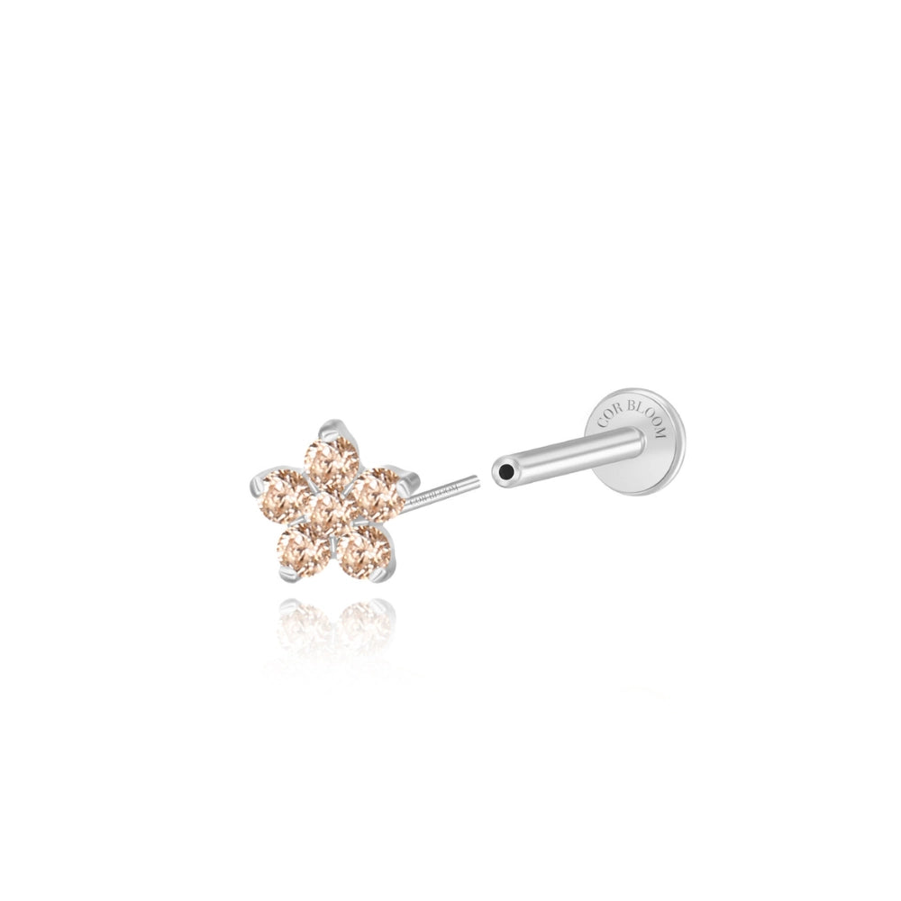 Titanium Nova Flower Stud - Champagne