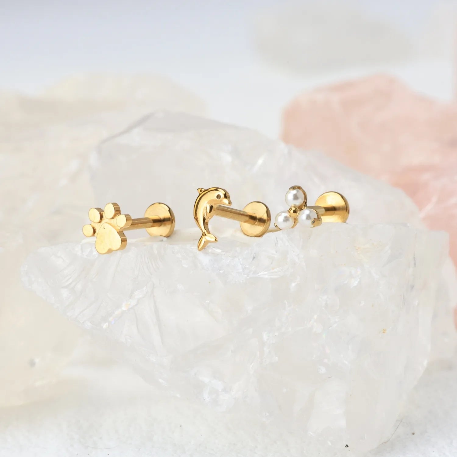 Titanium Heart Shape Little Paw Piercing Stud