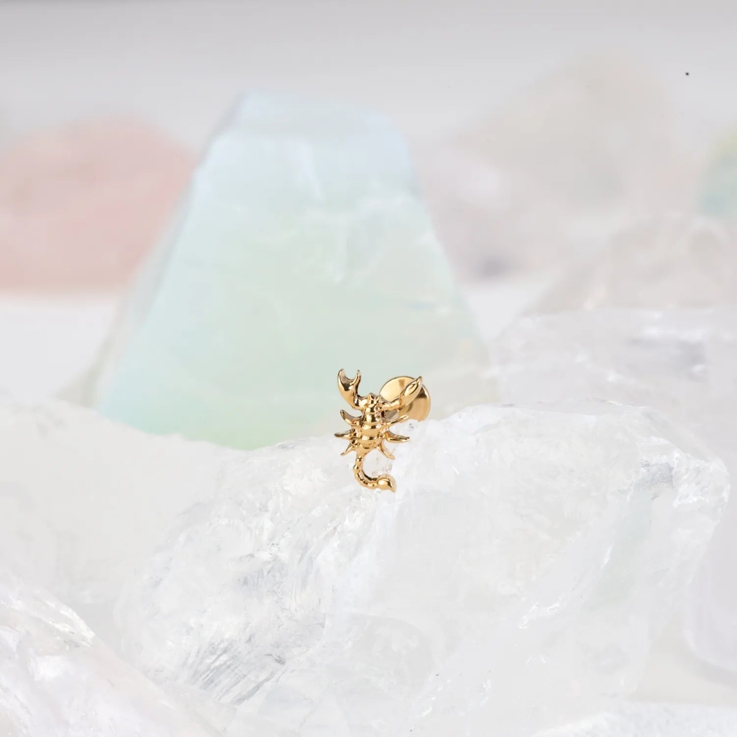 Titanium Queen Scorpion Flat Back Stud