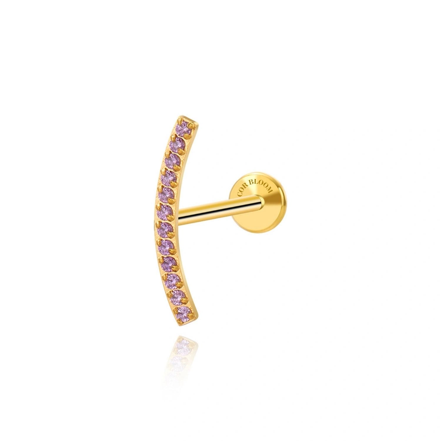 Titanium Zoey Amethyst Curved Line Flat Back Stud