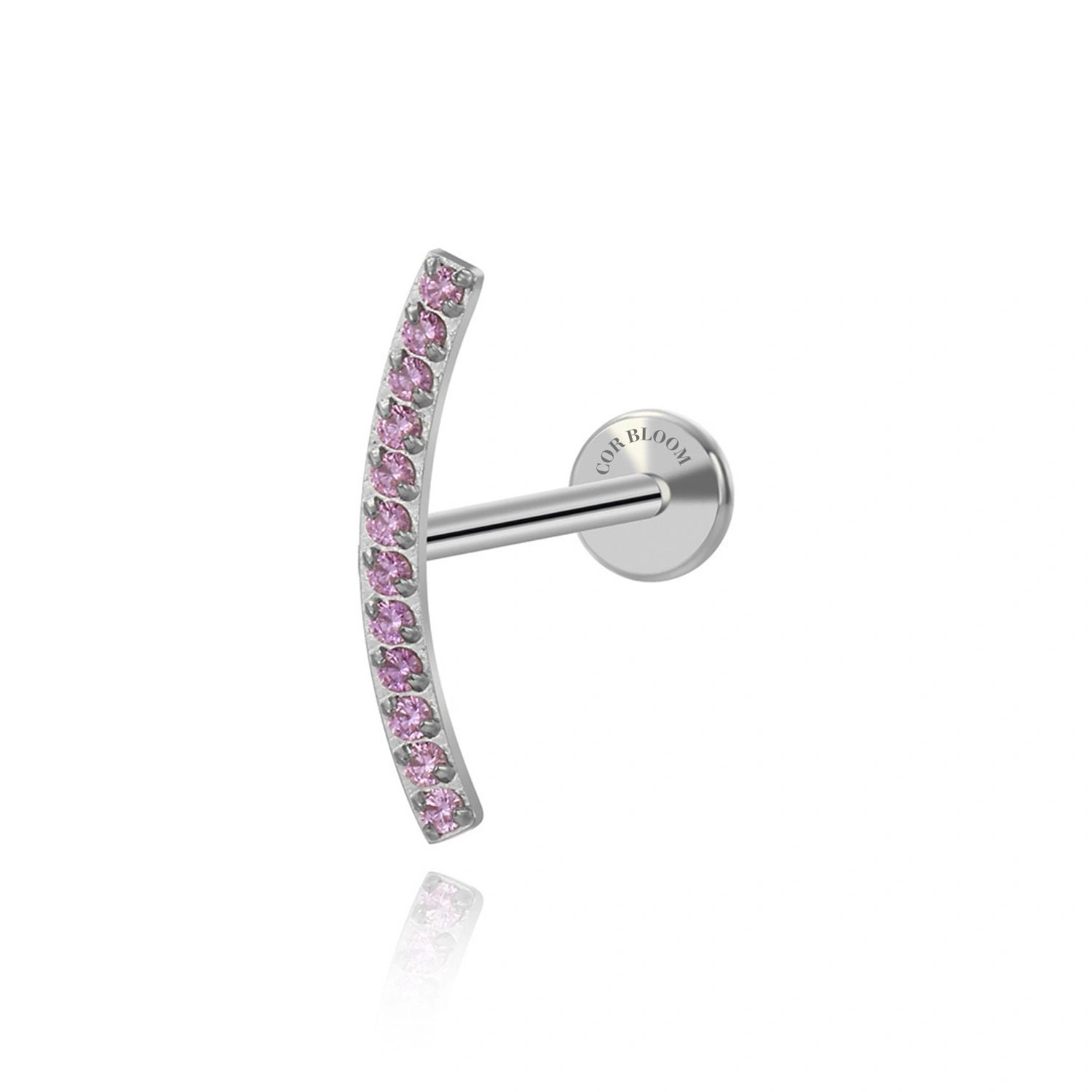 Titanium Zoey Amethyst Curved Line Flat Back Stud