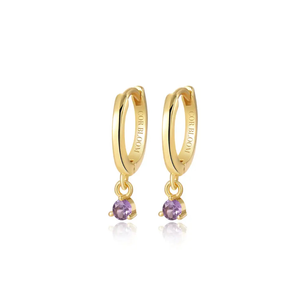 Elsa Amethyst Mini Bling Hoop Earrings
