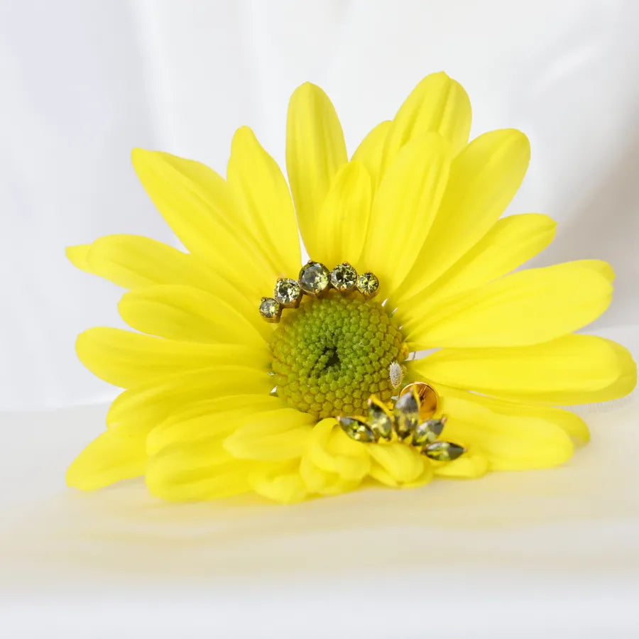 Titanium Daphne Five Peridot Gemstone Cluster Flat Back Stud