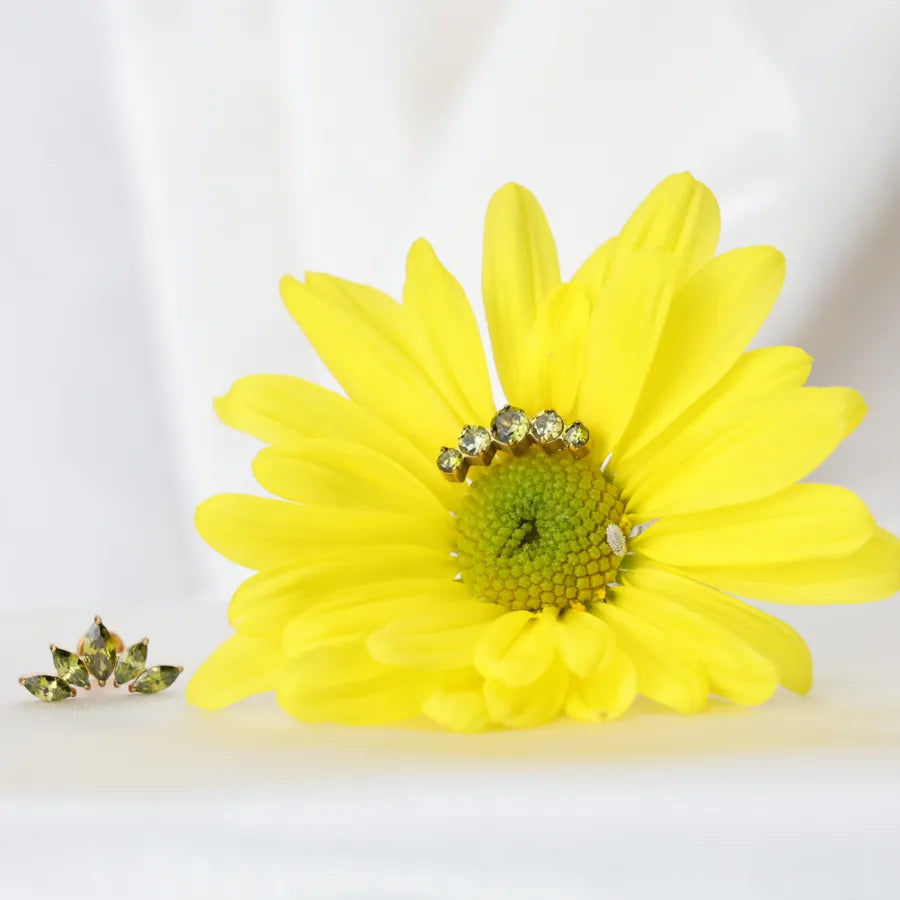 Titanium Daphne Five Peridot Gemstone Cluster Flat Back Stud