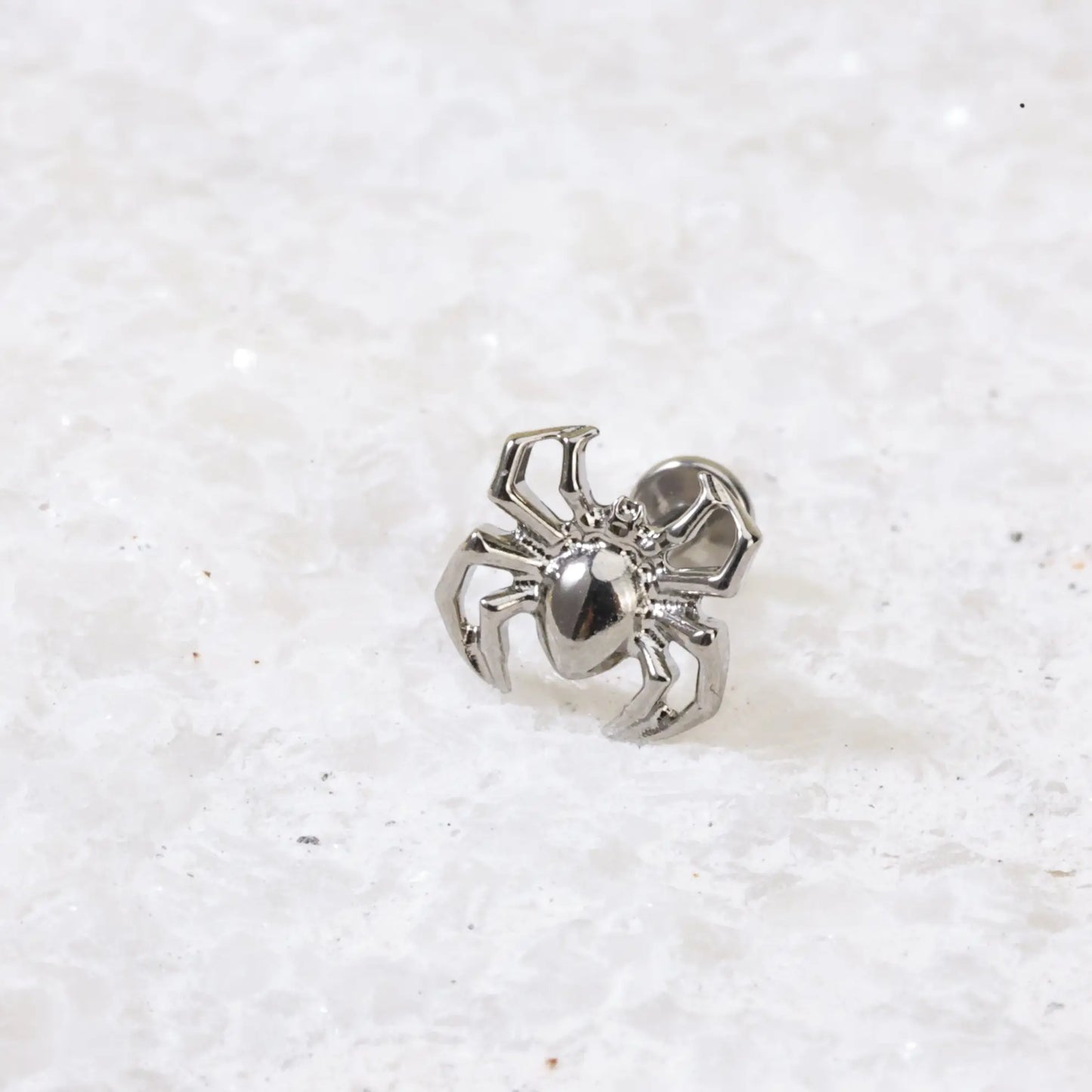 Titanium Statement Spider Piercing Earring