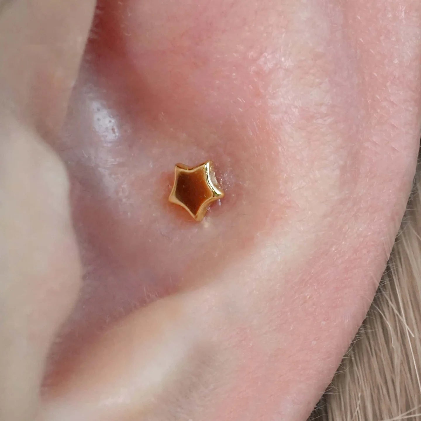 Small Stars Barbell Stud Earrings (20G)