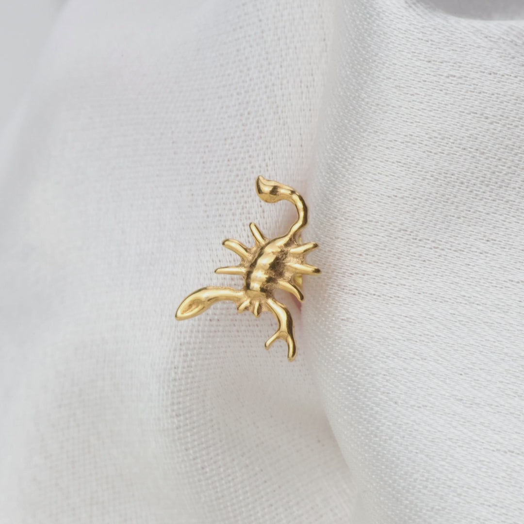 Load video: Titanium Queen Scorpion Flat Back Stud