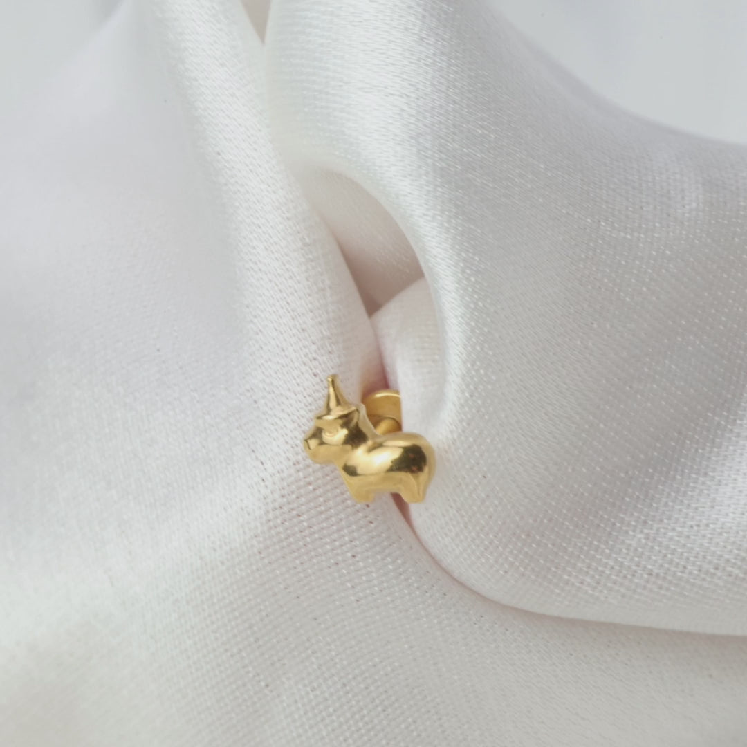 Load video: Titanium Capybara with Hat Piercing Stud